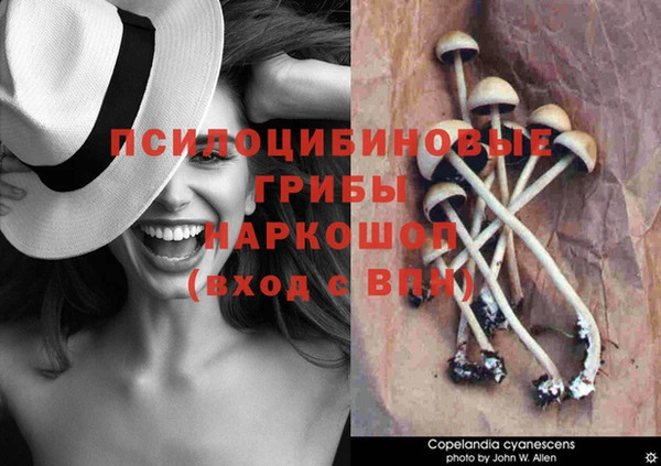 кокаин перу Пересвет