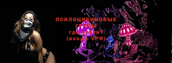 apvp Переславль-Залесский